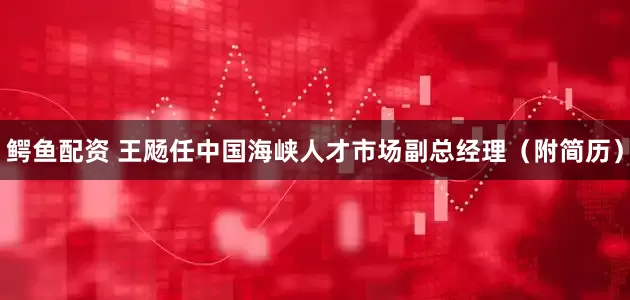 鳄鱼配资 王飏任中国海峡人才市场副总经理（附简历）